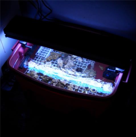 Posted Image