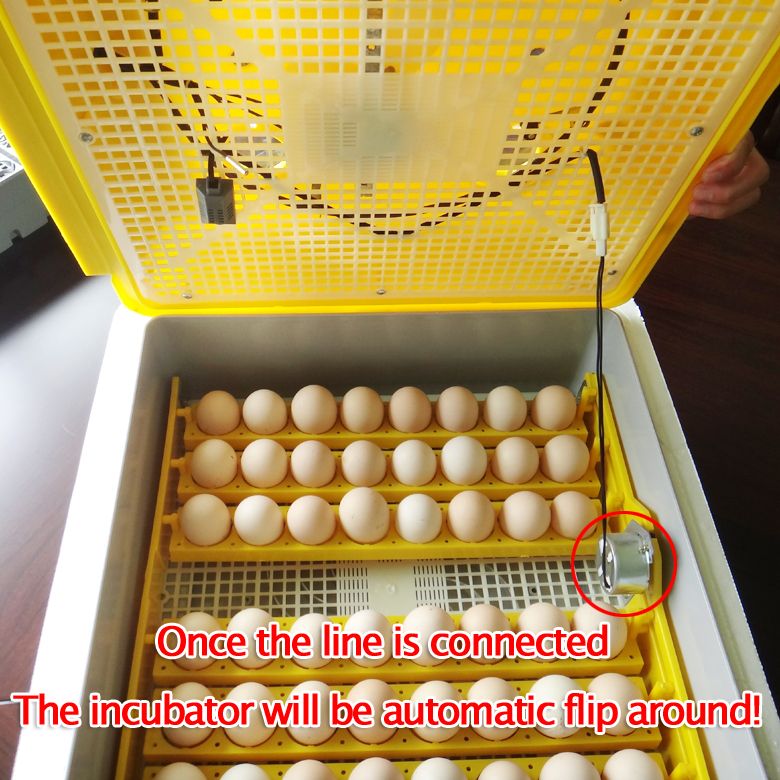 brand new 48 eggs incubator this incubators is an upgraded version of 