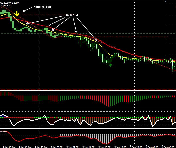 Masta suaidi forex