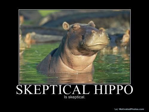 Skeptical-Hippo_500x500.jpg
