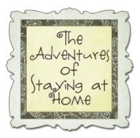 The Adventures of Staying at Home