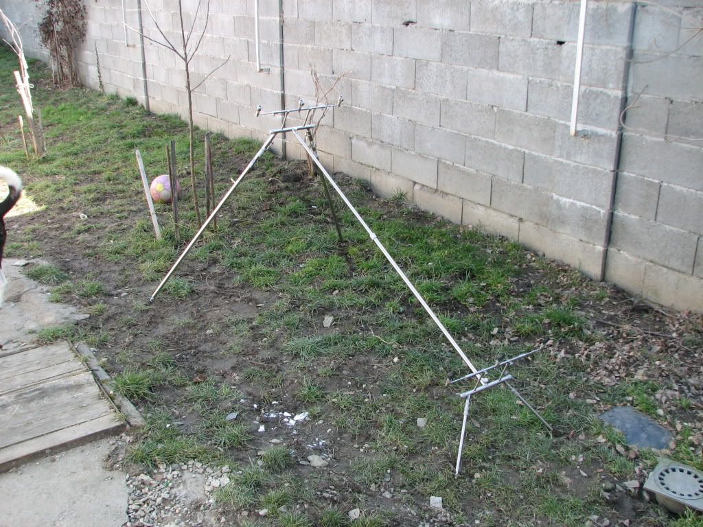 Paveikslėlis