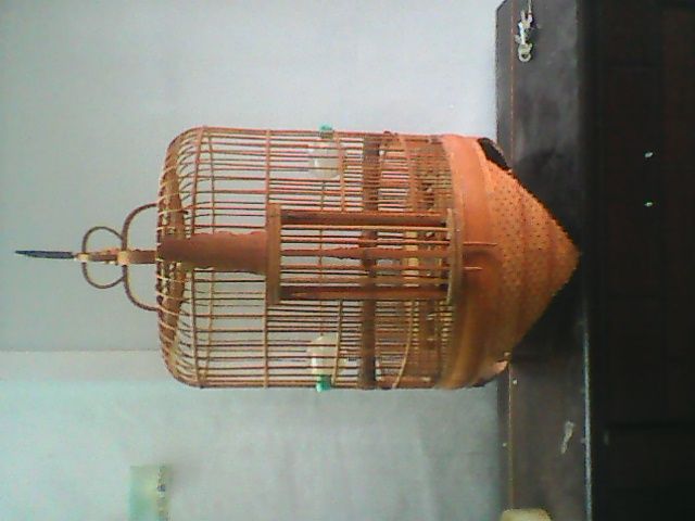 HÀ NỘI - Lồng mi chiến cần thanh lý - 2