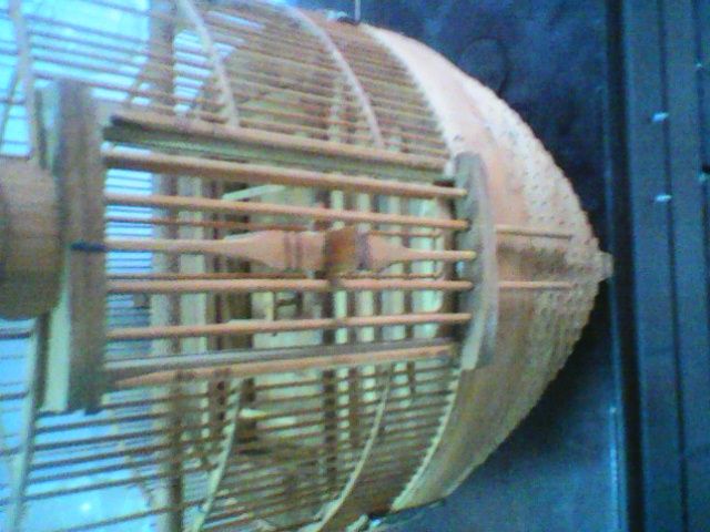 HÀ NỘI - Lồng mi chiến cần thanh lý - 1