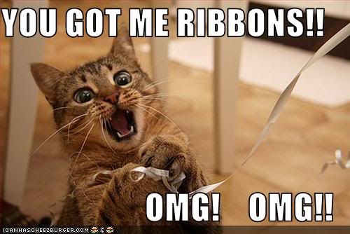 lolcat-omg-you-got-me-ribbons.jpg