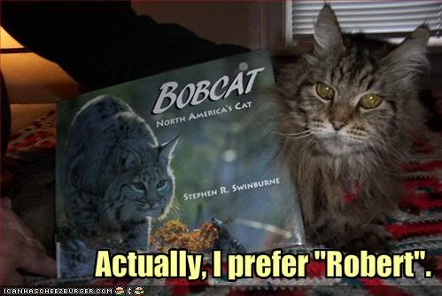 Funny Bobcat Pictures. Happy Humpy H00r-fest