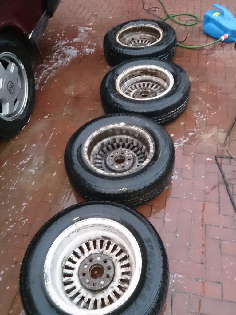 [Afbeelding: DSC_0377_zps679c0e0f.jpg]