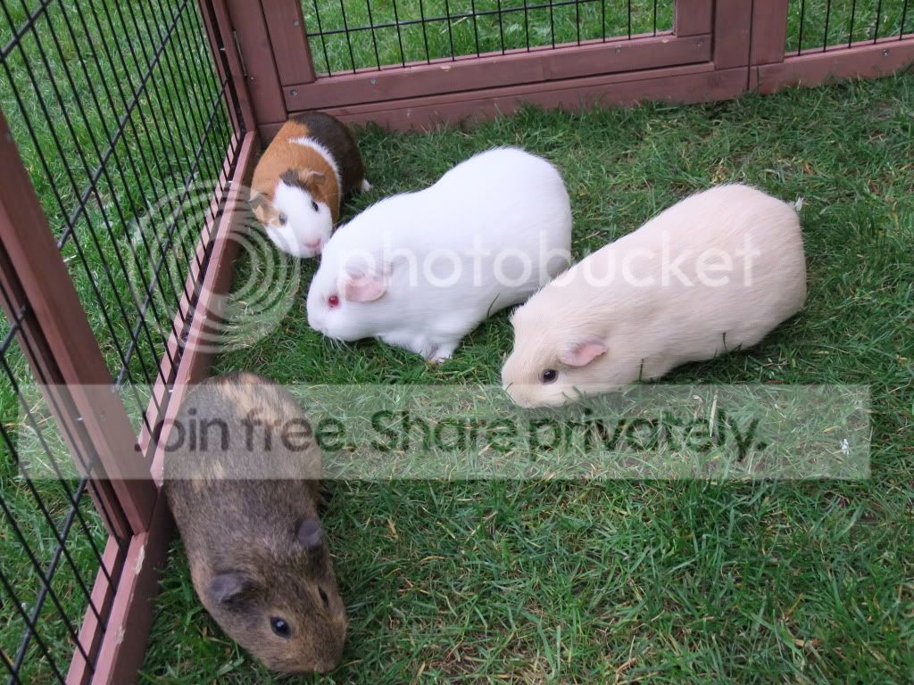 DSCF3332.jpg
