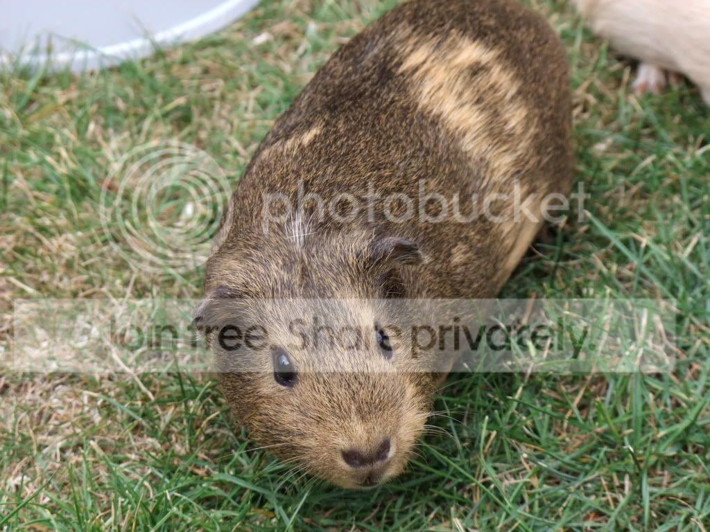 DSCF3698.jpg