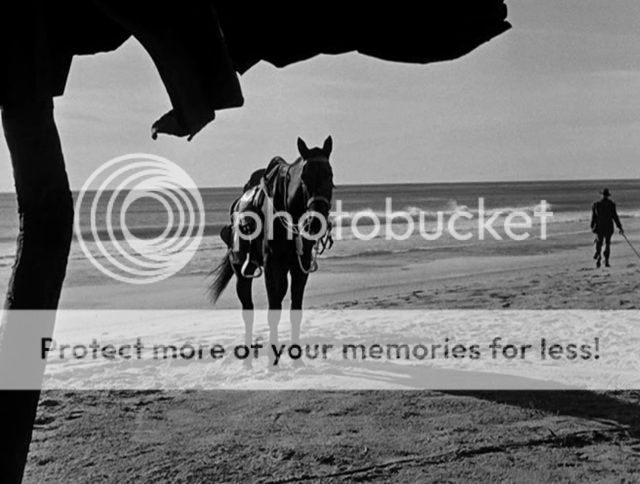 photo 3_zpsznr7kbhh.jpg