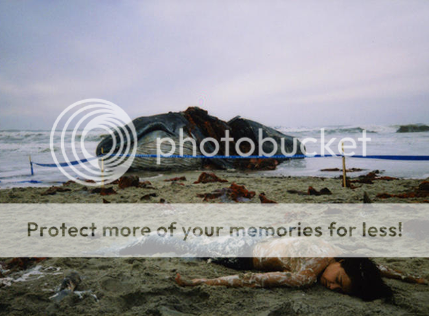 photo arabiannights03_zpsnb8uu9lt.png