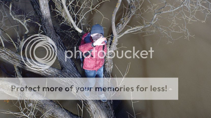  photo loveless-tree-lff17-360_zpsc9g4ustf.jpg