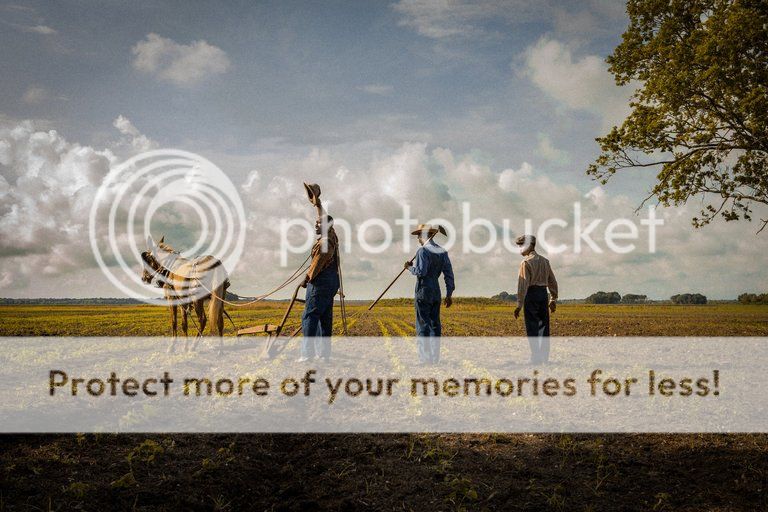  photo merlin_129717470_87efdb0c-c269-41f8-b64a-b5e943287248-master768_zpsyo2kqfvw.jpg