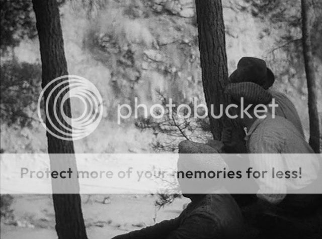 photo toni4_zpsepmi3rvv.jpg